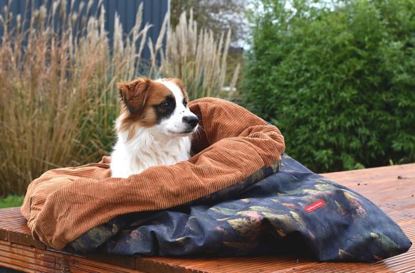 Karlsson im Kuschelsack aus Softshell & Cord mit Vlieseinlage